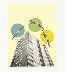 High Flyers Photographic Print