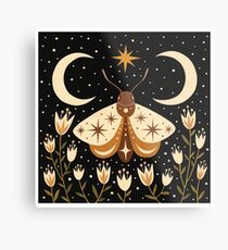 Between two moons Metal Print