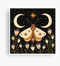 Between two moons Canvas Print