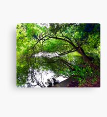 Moseley Park01 Canvas Print