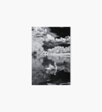Cemetery Swan Art Board