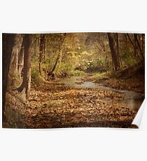 Creek in the Fall Poster