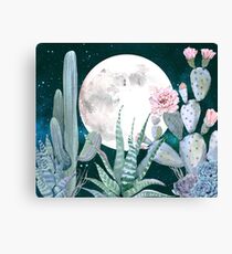 Cactus Nights Pretty Pink and Blue Desert Stars Cacti Illustration Canvas Print
