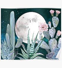 Cactus Nights Pretty Pink and Blue Desert Stars Cacti Illustration Poster