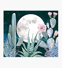 Cactus Nights Pretty Pink and Blue Desert Stars Cacti Illustration Photographic Print