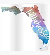 Tallahassee Poster