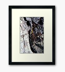 Ravine? Framed Print