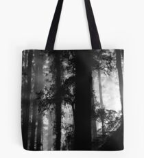 suns rays Tote Bag