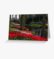 Keukenhof Garden Greeting Card