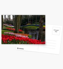 Keukenhof Garden Postcards