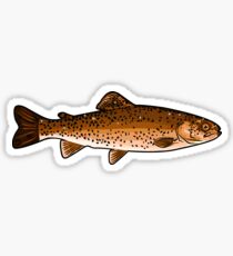 Brown Trout Graphic Sticker