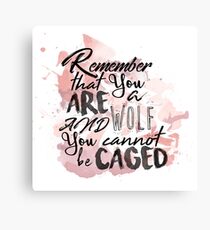 A Court of Wings and Ruin: You are a wolf... Canvas Print