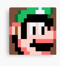 Luigi Canvas Print
