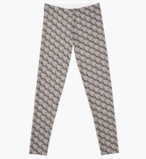 HIWWT Seashore Survey Leggings