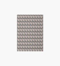 HIWWT Seashore Survey Art Board