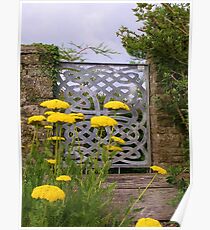 Yellow Tansy and a Gate Poster