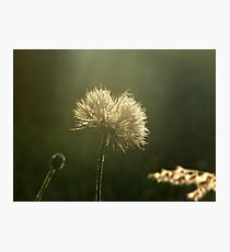 Childhood Photographic Print