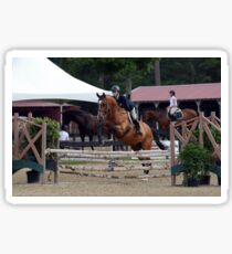 Equitation horse Sticker