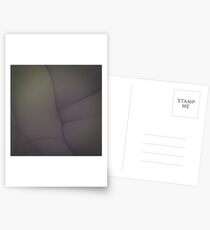 male nude 02 Postcards