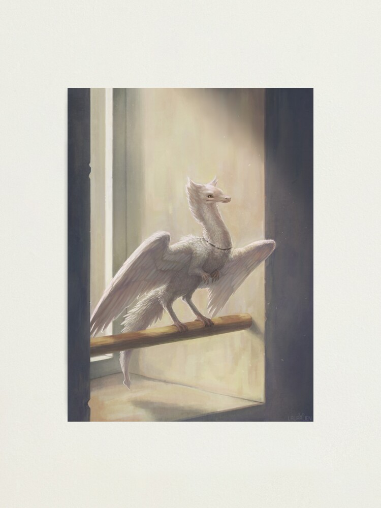 Alternate view of Slice of Sunlight Photographic Print