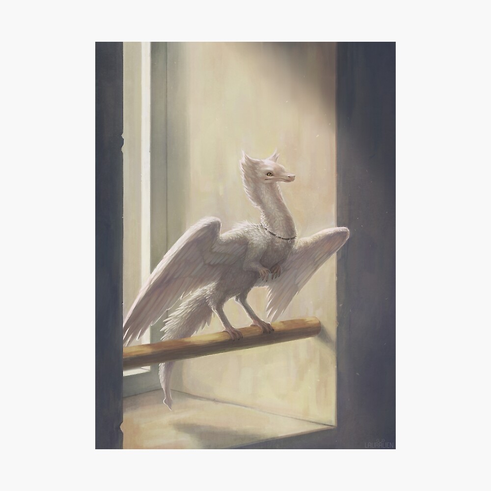Slice of Sunlight Photographic Print