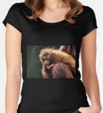Baby Orangutan, Borneo Women's Fitted Scoop T-Shirt