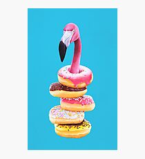 A Famished Flamingo Photographic Print