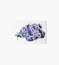 Galaxy Ball Python Art Board