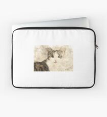 Cat Art Laptop Sleeve