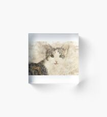 Cat Art Acrylic Block