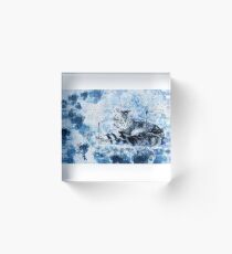 Beautiful Blue Cat Acrylic Block