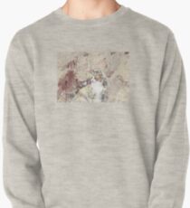 Cat Art Pullover