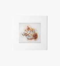 Cute Cat Art Drawing Watercolor Art Board