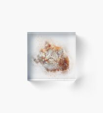 Cute Cat Art Drawing Watercolor Acrylic Block