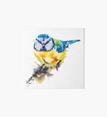 Blue Tit Art Board Print