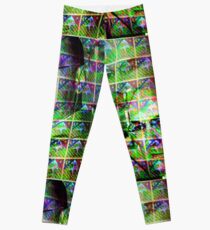 Albert Hoffman Stamp Leggings