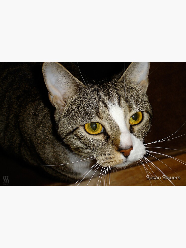 James Golden Eyes by SSSowers