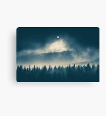 Follow the light Canvas Print
