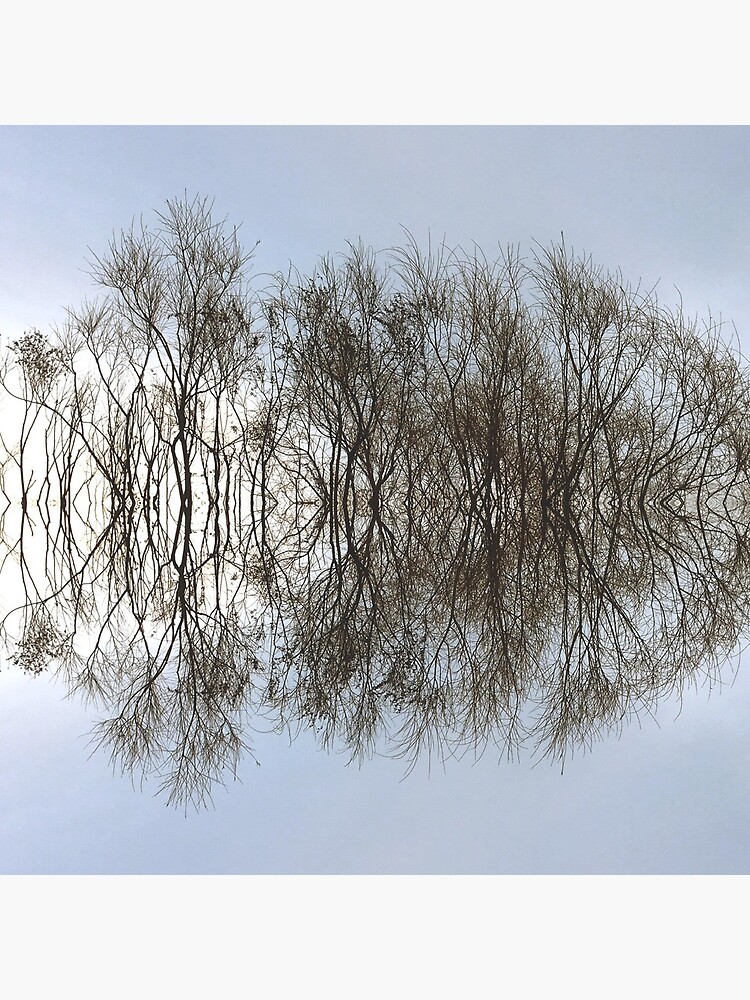 Mirrored Trees by Saturato