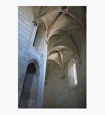 Chateau Amboise Photographic Print
