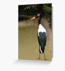 Stability Greeting Card