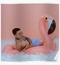 Jay Park pink blow up flamingo charli xcx SQUARE! Poster