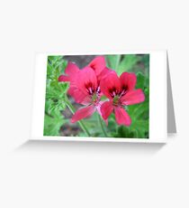 Pinkies Greeting Card
