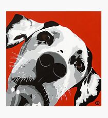 Dali Photographic Print