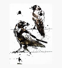 Hugin & Munin Photographic Print