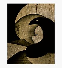Magpie blessée Impression photo