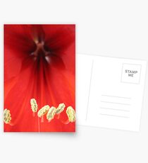 Amarillas Stamen Postcards