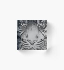 Tiger. Acrylic Block