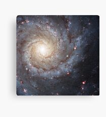 Messier Galaxy Canvas Print