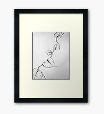 Vine Framed Print